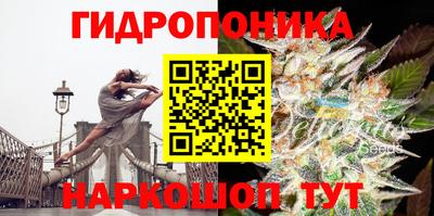 эйфоретик Кунгур