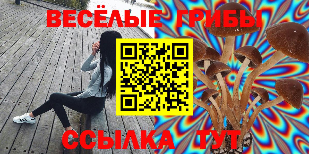 Галлюциногенные грибы прущие грибы Геленджик